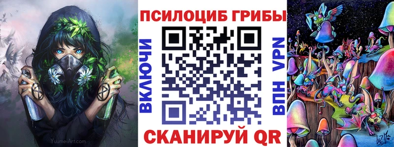 Купить закладки  Черногорск  Галлюциногенные грибы ЛСД 